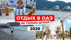 На авто по ОАЭ: в Фуджейру за природой, в Абу-Даби к музеям и на главный рыбный рынок Дубая за едой