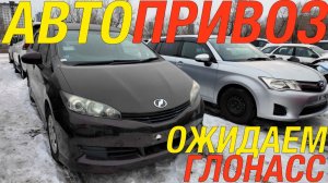 НАРОДНЫЕ АВТОМОБИЛИ СВЕЖИЙ ПРИВОЗ / HONDA STEPWGN FIT MAZDA2 TOYOTA WISH DAIHATSU MOVE
