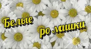 *** «БЕЛЫЕ РОМАШКИ» - ЮРИЙ ШАТУНОВ ***