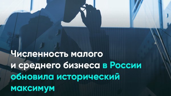 Численность малого и среднего бизнеса в России обновила исторический максимум