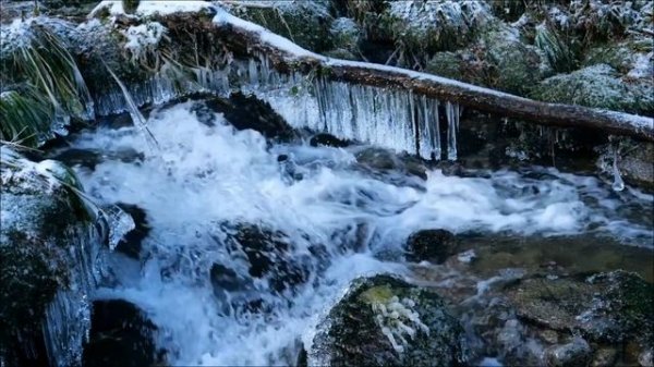 Гороскоп на 12 февраля. Какие знаки ждёт счастье.