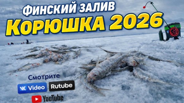 Корюшка 2026. Финский залив. Открытие сезона.