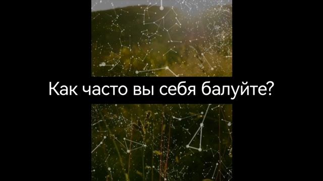 Вопросы себе