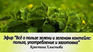 Всё о зелени и зеленом коктейле: польза, употребление и заготовка | Кристина Хлыстова