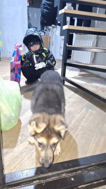 Покупки с Вайлдберриз и ОЗОН