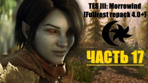 TES III: Morrowind [Fullrest repack 4.0+]📜17.  Перфекционист
