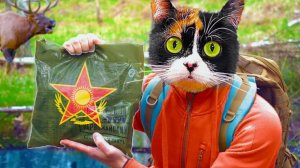 1 ДЕНЬ В ЛЕСУ С ЕДОЙ АРМИИ КАЗАХСТАНА