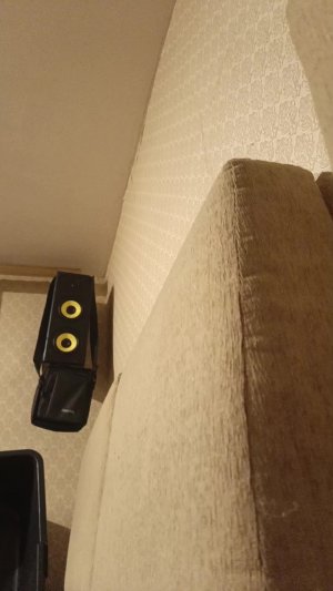 собачка Харлла