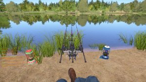 Топовый симулятор игры в рыбалку: Русская Рыбалка 4, оз. Янтарное, рыба: карпы.