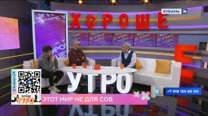 Борис Гауфман: в хронотипах существуют не только совы и жаворонки, но и голуби