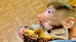 СМЕХОТА! Отобрать ПРЯНИК у Мани может только Степка)))