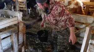 Затопило сарай/Боремся с водой/Сюрпризы природы