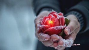 Muriam - Enta el hayat(клип)