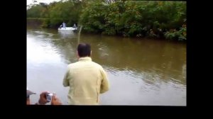 Январь 30, 2012 Поклевка тарпона