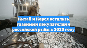 Китай и Корея остались главными покупателями российской рыбы в 2025 году
