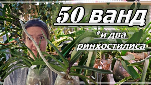 Орхидея ВАНДА. Все ОШИБКИ и УСПЕХИ. Поливать или ОПРЫСКИВАТЬ? Как ПОСАДИТЬ Ванду?