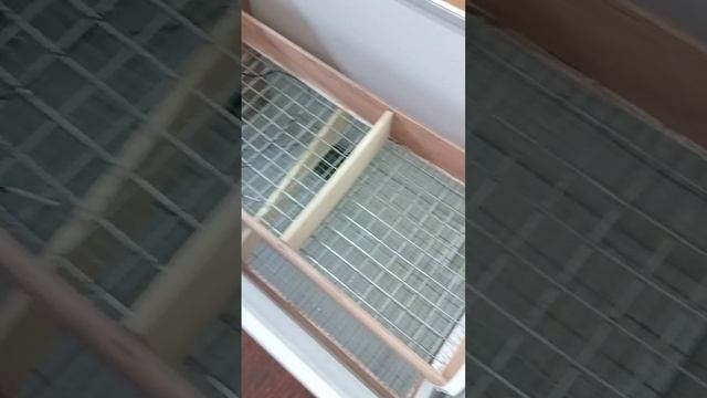 Обзор инкубатора на 160 яиц