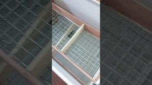 Обзор инкубатора на 160 яиц