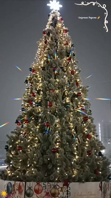 #мояпрогулка #зимняя #декабрь #обзор #бульваргероевотечества #саратов #солнечный #зима #ёлка #красив смотреть онлайн