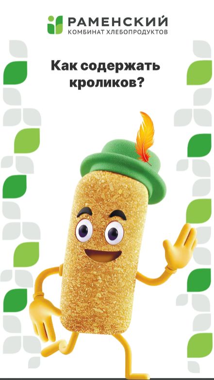 Как содержать кроликов в холодное время года?