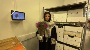 ПРИЕХАЛИ ЗА ВЕСНОЙ! 🌱