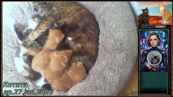 сестренка полежи с нами