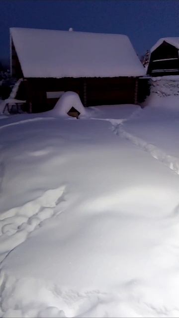 С 1 Февраля Начинаю Полный Актив :-) Ваша Подписка - Поддержка Для Меня :-)