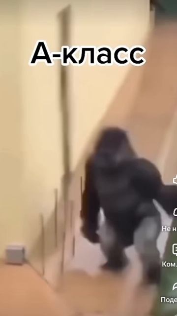 как ходят разные классы в столовую