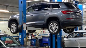 Skoda Kodiaq 2020, в продаже