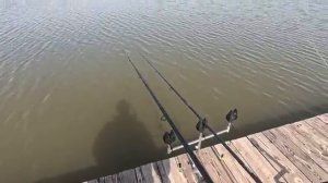 Рыбалка на флэт фидер весной 2025 наловил карпа на фидерную снасть