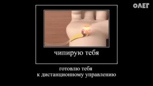 Ртуб фиксики