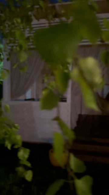 12-02-2026 смотреть онлайн