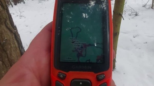 Каюр нашёл лося