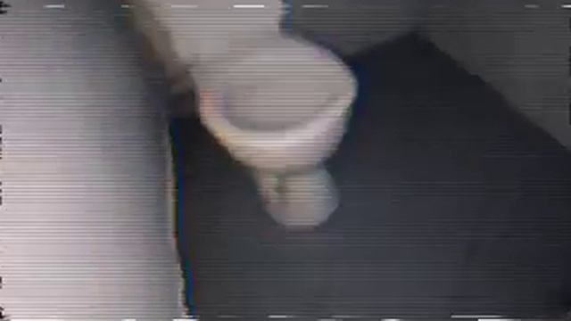 zapis-tualeta-??.03.2016 (чит.опис) смотреть онлайн