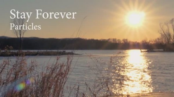 Stay forever landscape