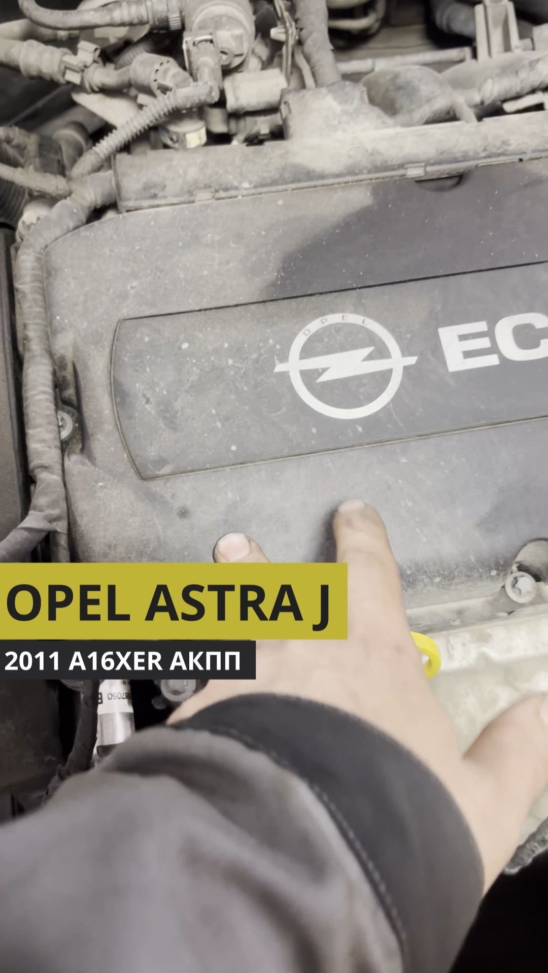 Opel Astra J A16XER АКПП 2011: ошибка P0420, прокладка маслонасоса, сальники распредвалов