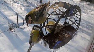 Немного Балдуина