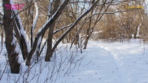 БЕРЕГ ДОНА 14.11 февр.2026.vovich video