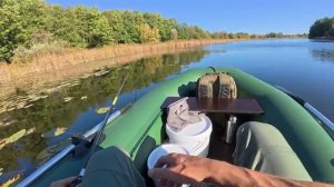 Рыбалка на поплавок осенью на озере. Ловля разной рыбы на маховую удочку