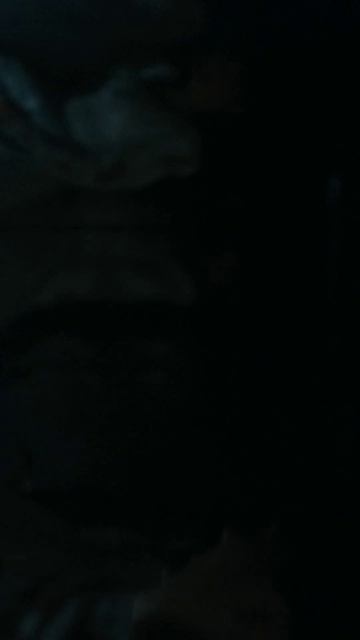 #Кино #Заклятие4