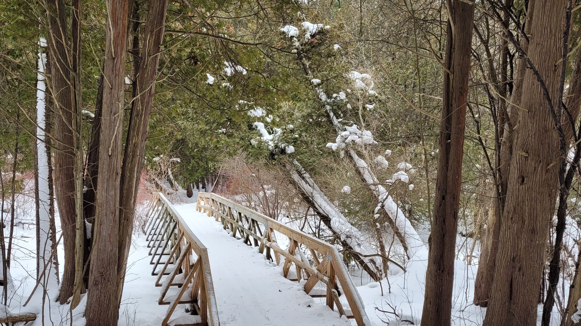 Раз морозною зимой