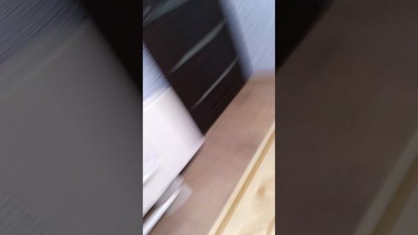 Котяткины мой новый мультсериал!!!! с 1 по 5 серию!!!!!!!!!🐱🐱🐱🐱🐱🐱🐱🐱🐱🐱🐱