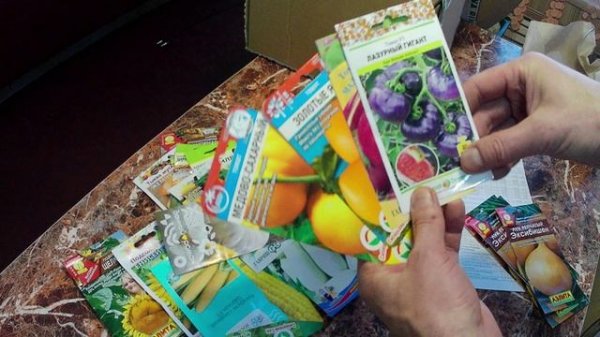 Посылка с семенами от www.semena.ru мой отзыв об интернет магазине. Промокод 5% на любые заказы.