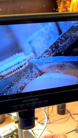 Микроскоп в Мастерской ХоббиТ