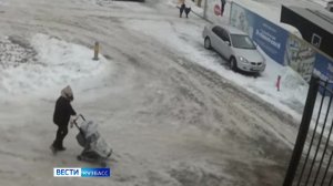 Нападение собак, побег детсадовца и ДТП с таксистом: сводка происшествий по Кузбассу