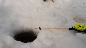 Поклёвка на зимнюю удочку, что я делал не так