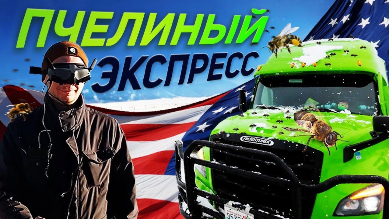 Razhko | Дальнобой по США Доставка пчёл на работу Белорус в Америке смотреть онлайн