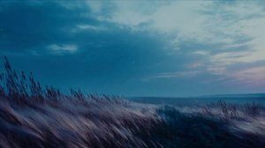 вольная степь