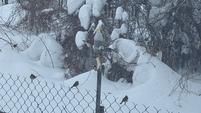 1000105390.mp4 смотреть онлайн