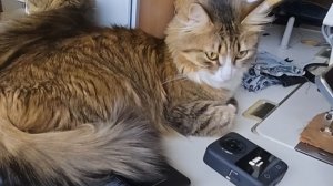 DJI OSMO 360.Первое включение,активация и обновление. Активация в DJI Mimo,без QR-кода